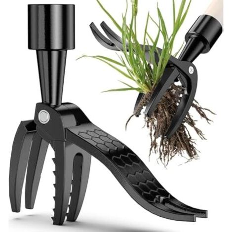Bunthaus Tête De Rechange Pour Désherbeur Manuel, Outil Robuste 4 Griffes En Acier, Parfait Pour Le Jardin Et La Pelouse
