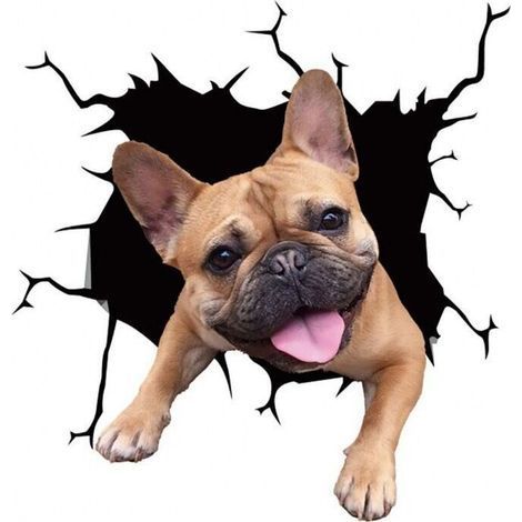 Bunthaus (20cmx20cm)4 Pcs Chien Autocollants De Voiture, 3d Labrador Stickers Voiture Autocollants Personnalisés Drôle Bouledogue Français Autocollants De Voiture Réaliste Chien Vinyle Autocollant De
