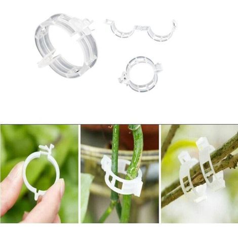 Pair Pinces Pour Support De Plantes/treillis, Lot De 100