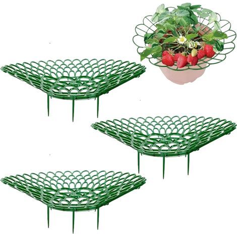 Lot De 3 Supports Pour Fraises, Supports De Fraises, Support De Fraises De Jardin, Support De Culture De Fraises, Supports De Culture De Fraises En Forme D'Éventail, Support De Protection Pou