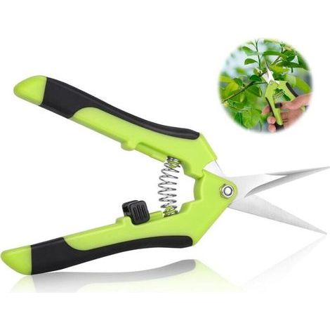 Pair Sécateurs De Jardin, Cisailles De Jardin, Sécateurs De Jardin Ergonomiques, Ciseaux À Bonsaï, Sécateur Plante, Fleur, Branche, Rose, Bonsaï, Légume, Fruit
