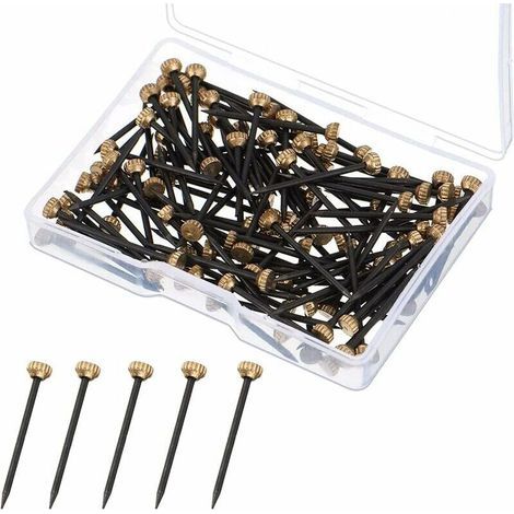 Pair Lot De 50 Clous De Suspension Pour Photos - Petits Clous Avec Clous En Acier Noir Et Tête En Laiton - Pour Photos, Art Mural, Toile, Cadre Miroir, Avec Boîte De Rangement En Plastique