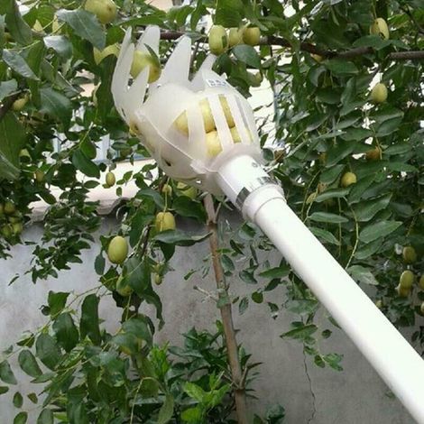 Pair Tête De Cueillette De Fruits En Plastique, Panier Profond, Cueilleur De Fruits, Cueilleur De Pommes Et De Pêches, Ferme, Jardin, Dispositif De Cueillette En Plastique, République Tchèque, (blanc)