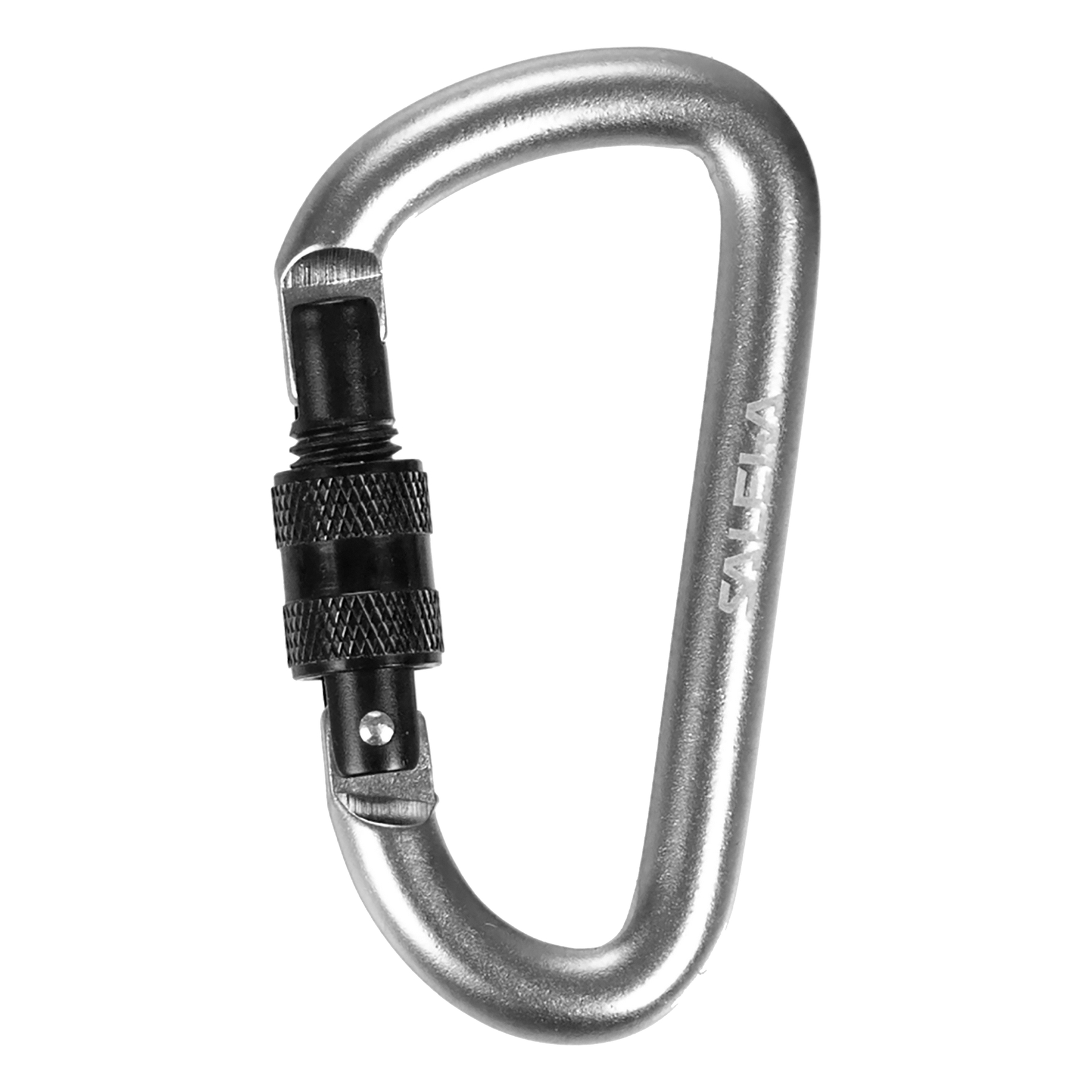 Unisex-karabinerhaken Salewa D-form Silber 00-00000341020999