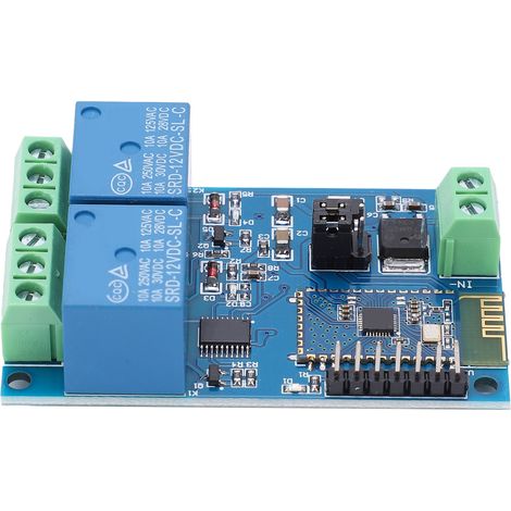 Module Relais Bluetooth Double Canal 12 V Cc Pour Application Mobile Android Et Commande À Distance Pour Maison Connectée (iot)