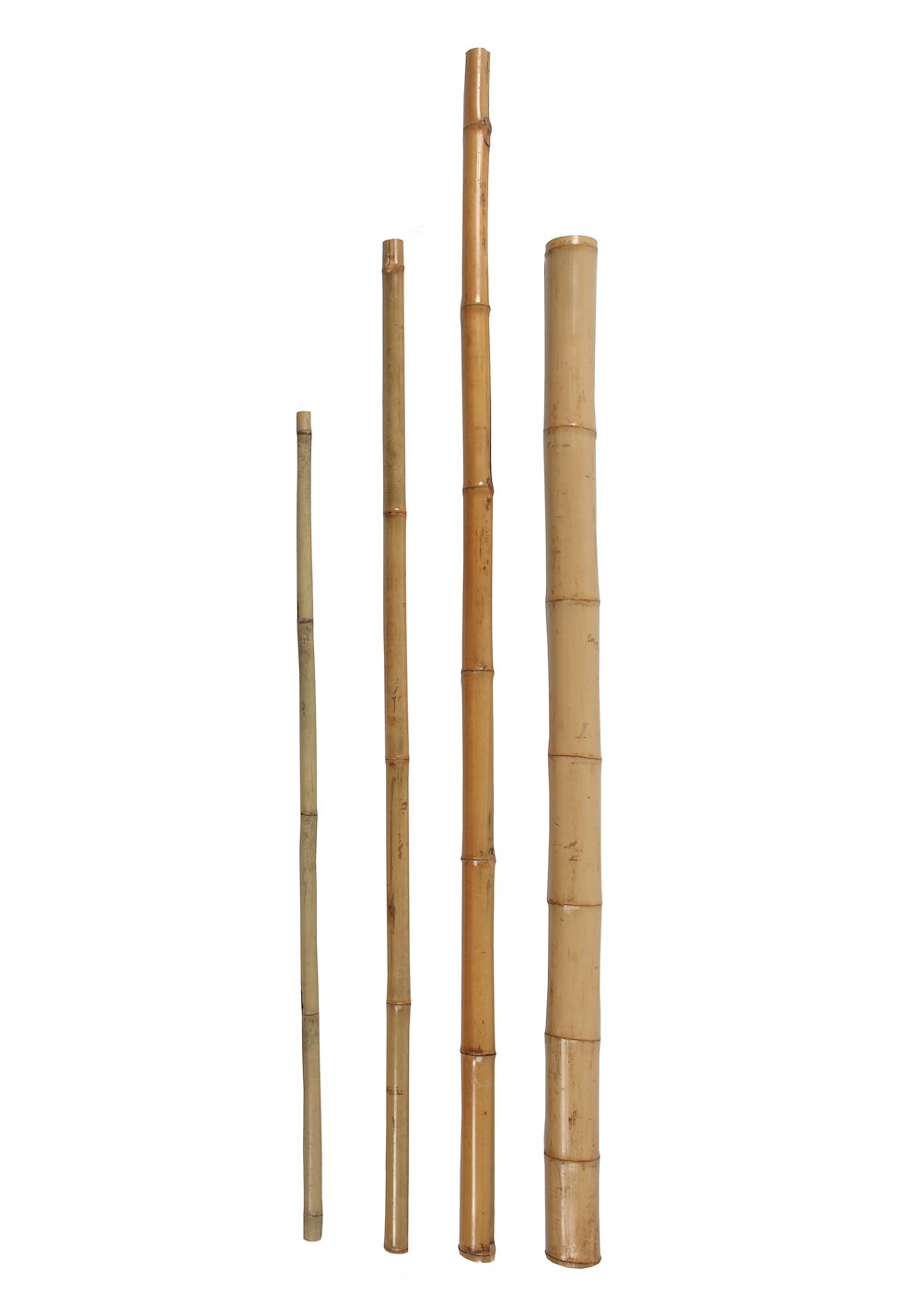 Bambuspflanz/dekostab Comfort L:150 Cm, Ø 75 Mm