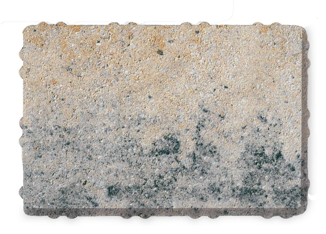 D-tec 5 Muschelk 30/20/8 Cm -vs-2/3v Pe2