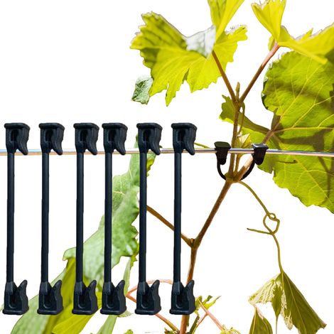 Lot De 200 Pinces Pour Tomate, Raisin, Framboise, Kiwi Vigne Support Pour Plantes De Jardin Avec Crochet Fixe Pour Plantes De Jardin Convient Pour Fil 9-12