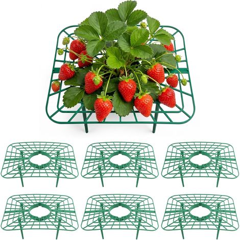 6 Tuteurs Fraisiers 25x20x10cm Avec Filet Réutilisable 4 Pieds, 6 Pièces 25x20x10cm, Surélevé Anti-sol, Filet Protection