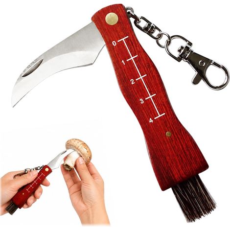 Mini Couteau À Champignons Avec Brosse Pliable, Lame Inox Manche Poirier Rouge À Échelle, Outil Portable Pour Ramasser Les Champignons,4cm