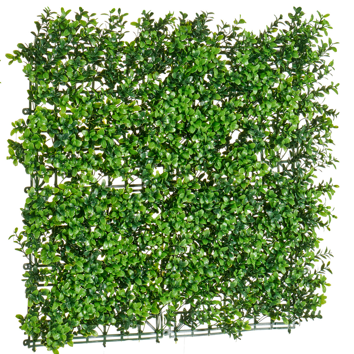 Künstliche Hecke, 50 X 50 Cm