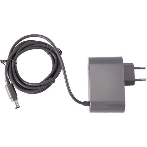 Chargeur Pour Aspirateur Dc30, Dc31, Dc34, Dc35, Dc44, Dc45, Dc56, Dc57, Adaptateur Secteur Prise Européenne