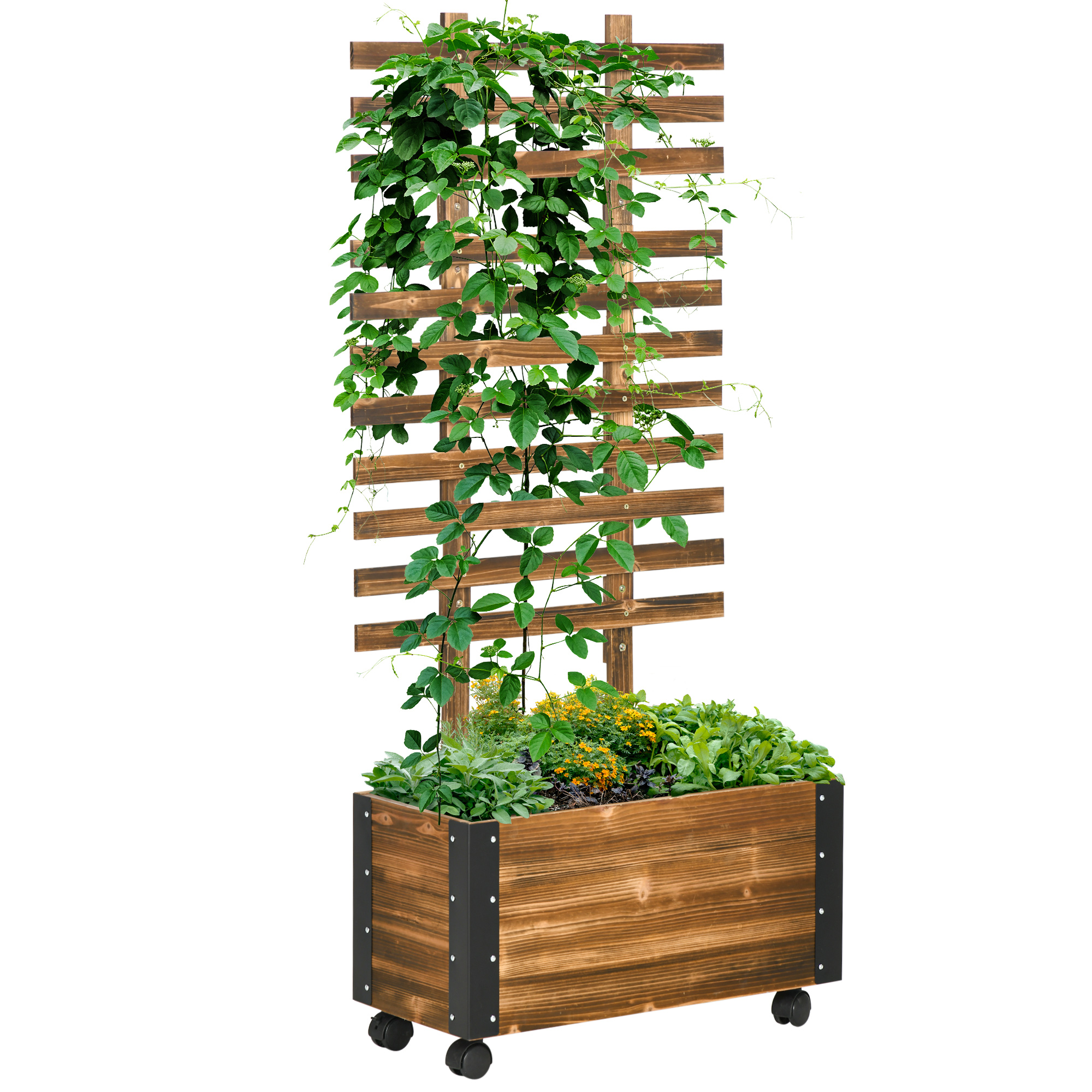 Blumenkasten, Mit Rankgitter, 65 X 31 X 147 Cm, Braun