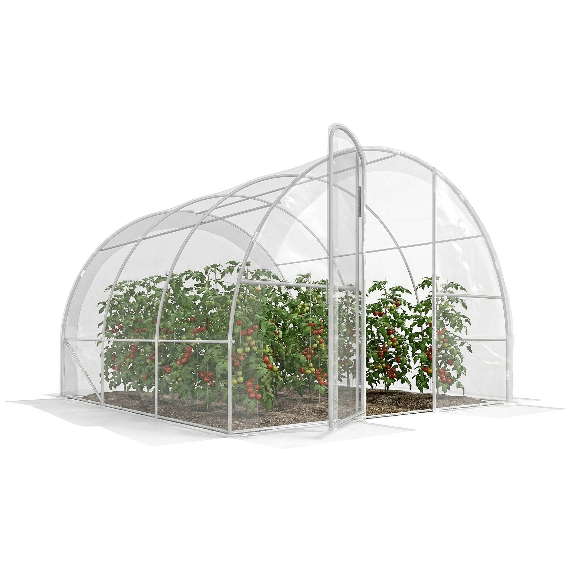 Gewächshaus, 295 X 295 X 195 Cm, Transparent