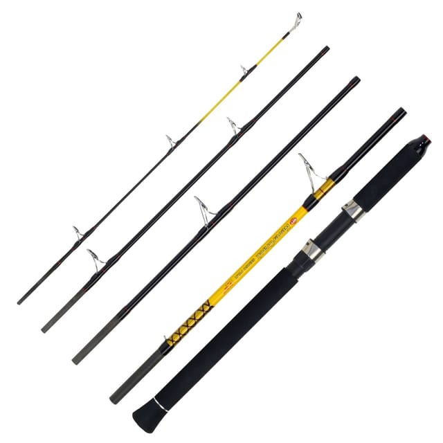 WFT Never Crack Senso Pilk 2,40m 50-160g 5 Teile Meeresrute Reiserute
