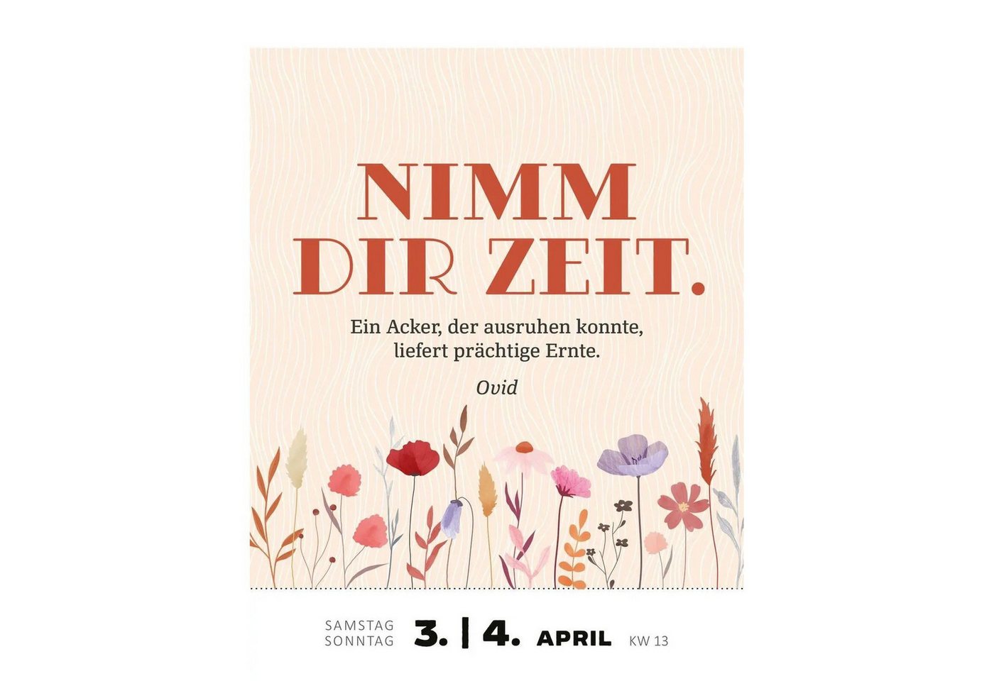 Ars Edition Abreißkalender Abreißkalender Glücksmantras 2027 Bild 2
