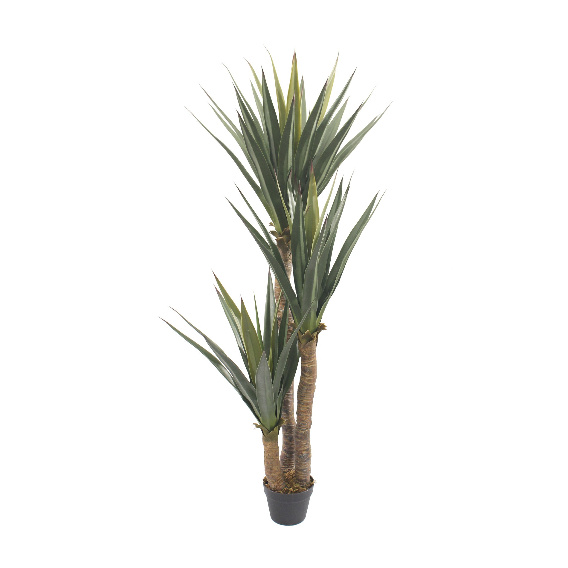 Künstliche Yucca Pflanze Rebecca Mobili Talek 155x80x80 Cm Aus Pvc Pe Metall Zement, Grün Braun