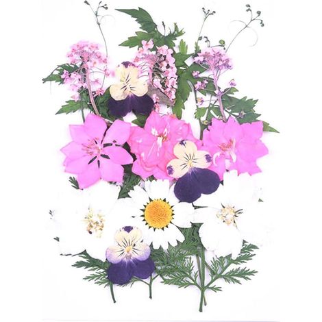 Diy-lesezeichen Aus Transparenten Trockenblumen – Handgefertigtes Lesezeichen Mit Gepressten Blumen – Dekorativer Buchclip