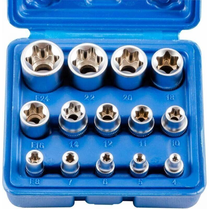 14-teiliger Torx-steckschlüsseleinsatz (e4–e24) – Chrom-vanadium-stahl – Schnelle Identifizierung – Für Ratschen Oder Rohrschneider