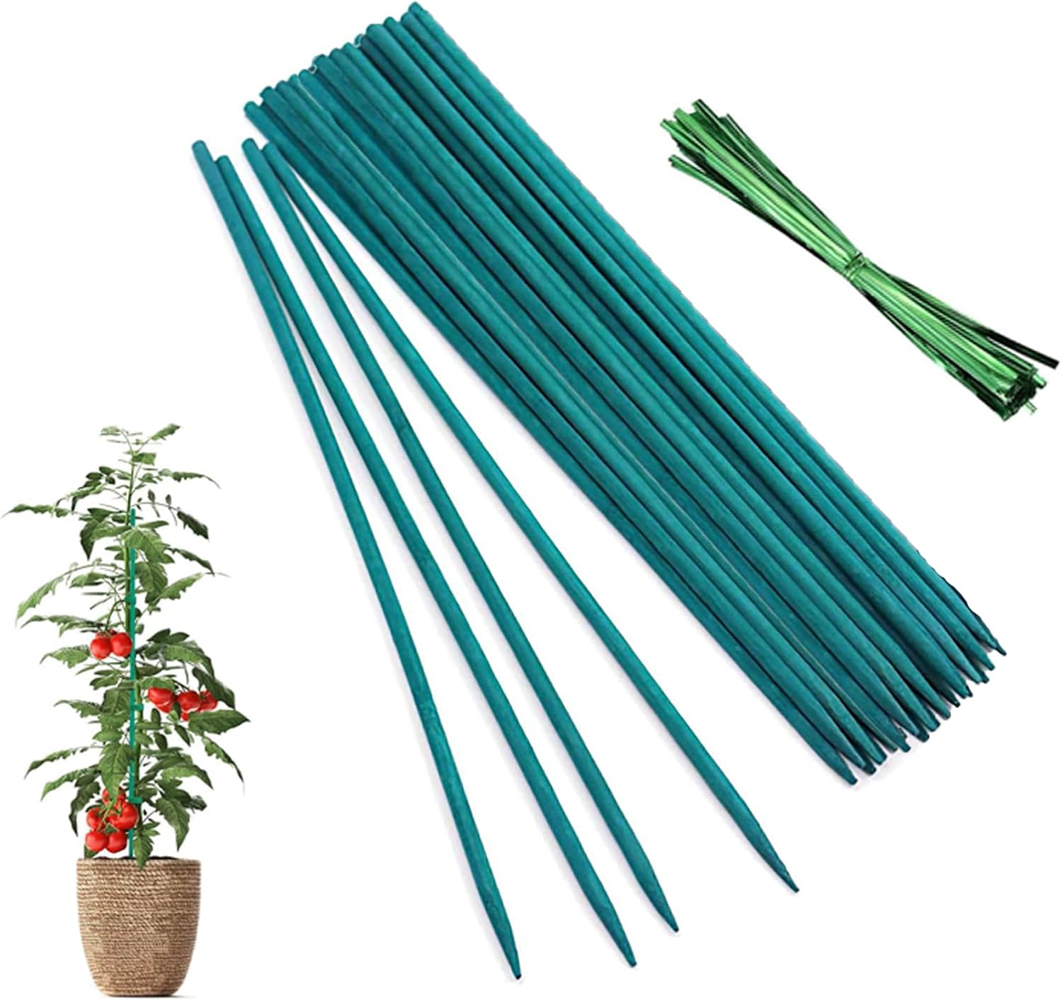 Set Mit 50 Bambus-pflanzenstützen, 30 Cm Lang, Mit Befestigungsbändern, Stabiler Halt Für Orchideen Und Gemüse, Ideal Für Den Innen- Und Außenbereich