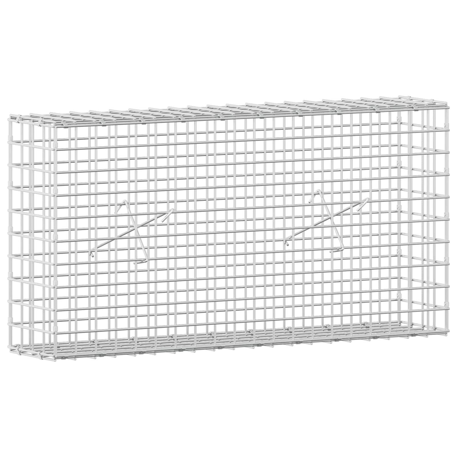 Gabione Mit 3,5 Mm Draht Und 5x5 Cm Maschen 100x20x50 Cm Vidaxl