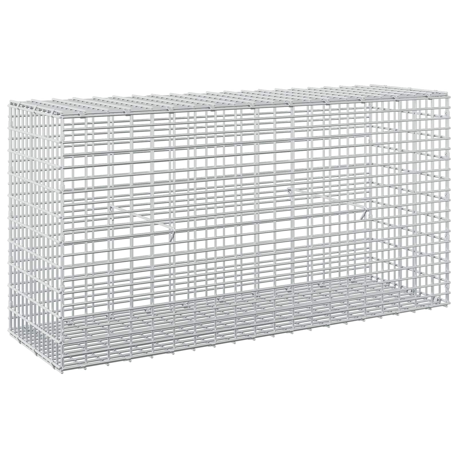 Gabione Mit 3,5 Mm Draht Und 5x2,5 Cm Maschen 100x30x50 Cm Vidaxl