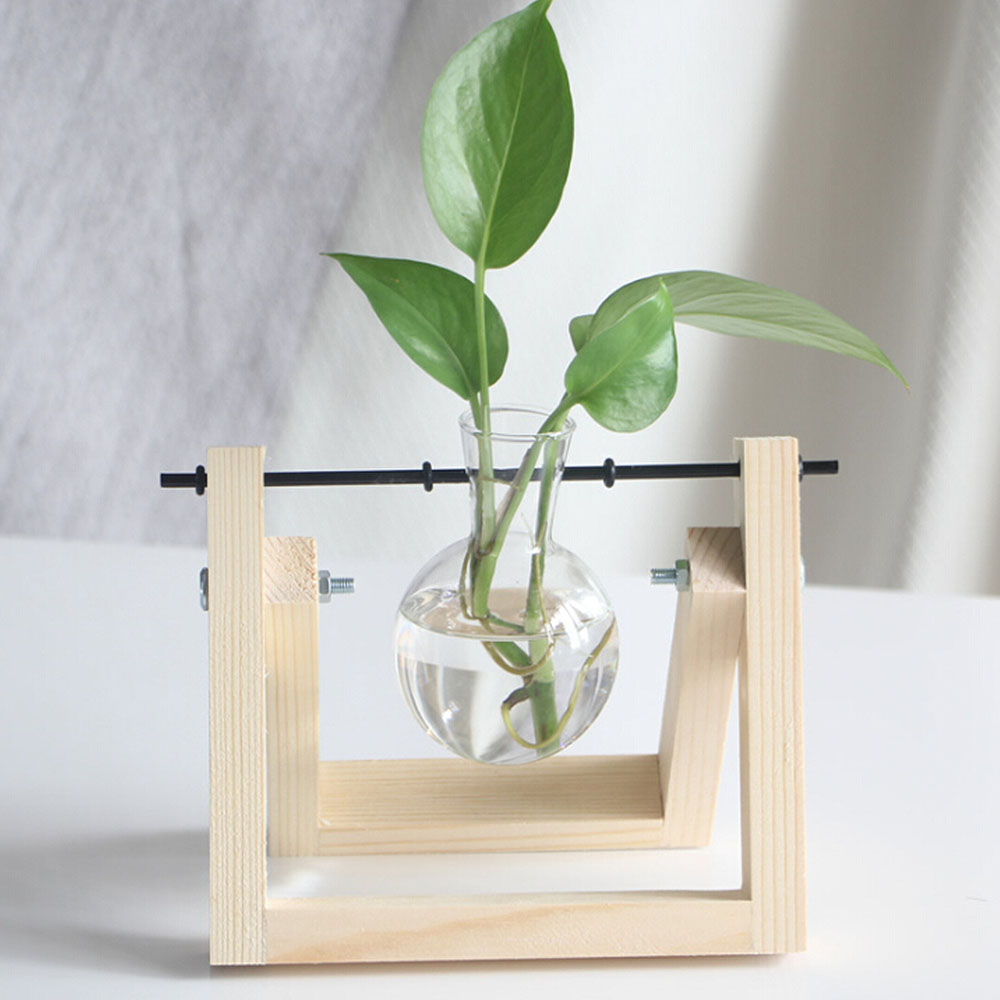 Pflanzenvermehrungsstation Mit Holzständer, Pflanzenterrarium Für Die Dekoration Von Zuhause Und Büro, Gartenarbeit, Einzelner Flaschenständer Aus Holz