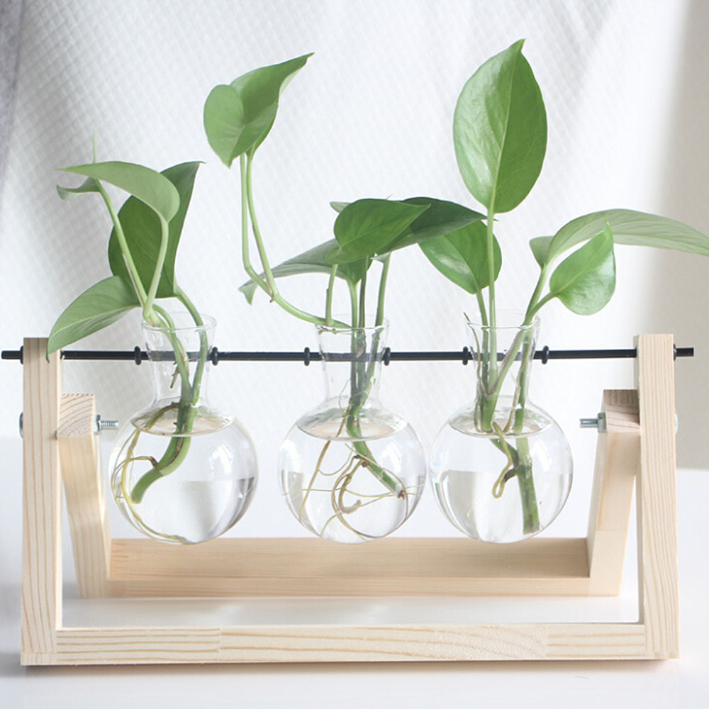 Pflanzenvermehrungsstation Mit Holzständer, Terrarium Für Pflanzen, Dekoration Für Zuhause Und Büro, Gartenarbeit, Ständer Aus Baumstämmen, Drei Röhren