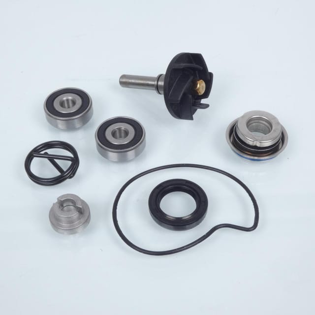 Wasserpumpe Sifam Für Roller Piaggio 125 Vespa Gts Euro3 2007 Bis