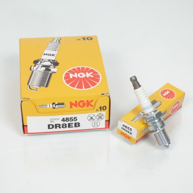 Ngk-zündkerze Für Voge 650 Ds (baujahre 2021 Bis 2024), Neu