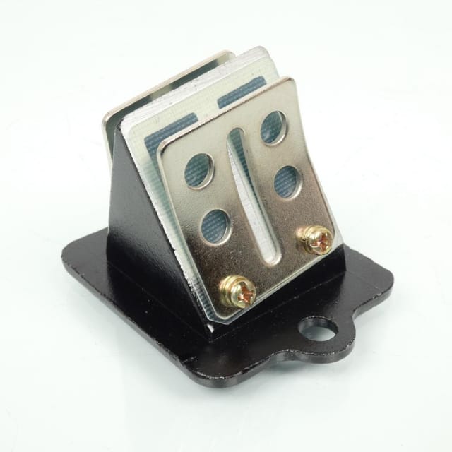 Membranblock P2r Für Roller Piaggio 50 Zip Neu