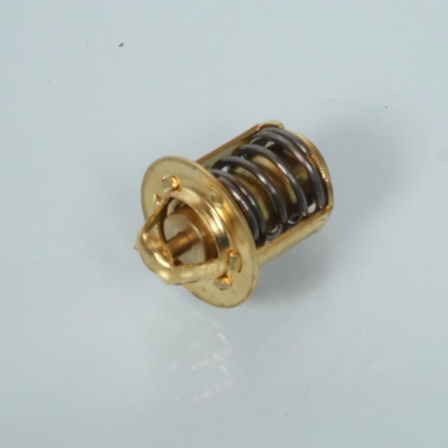 P2r-thermostat Für Yamaha 50 Aerox Roller, Neu