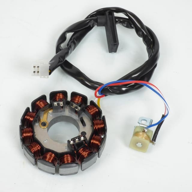 Zündstator P2r Für Motorrad Sherco 50 Sm R Neu