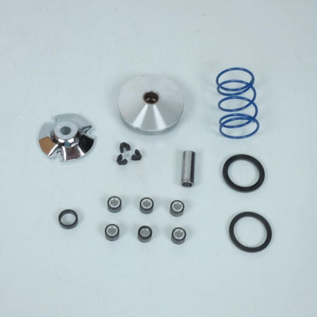 Variomatik Polini Für Roller Piaggio 50 Extreme Neu