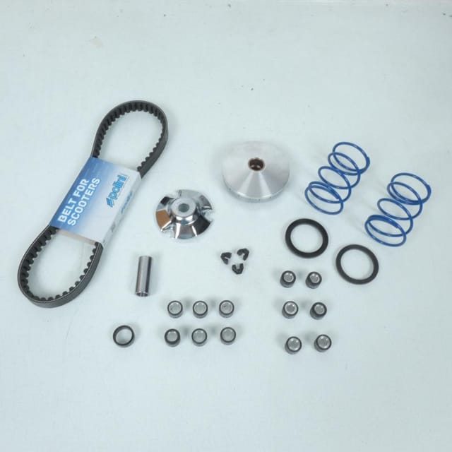 Polini-variator Für Gilera 50 Typhoon Xr 2000 (neu)