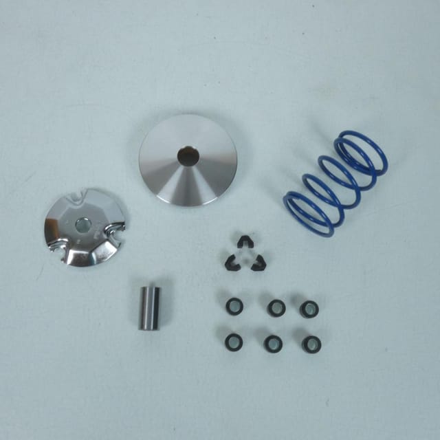 Variomatik Polini 218 50 27525 2018 Bis 2020 Kit / 241.762 Neu