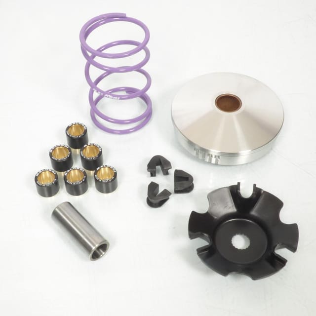 Variomatik Malossi Für Roller Aprilia 100 Scarabeo 2003 Bis 2007