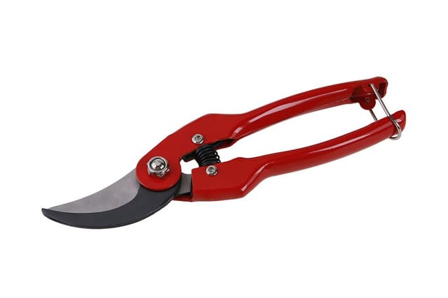 Winland Schere 220 Mm 45098.01