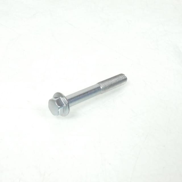 Schraube M8, Gewindesteigung 1,25, Länge 55 Mm, Für Yamaha Tr3,