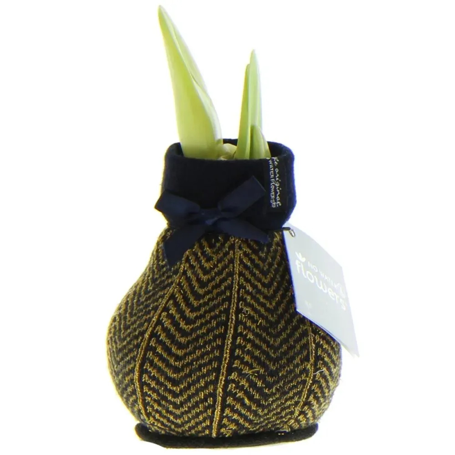 Exotenherz Amaryllis-Zwiebel in Wintersocken Fashion Elegant Goldmuster