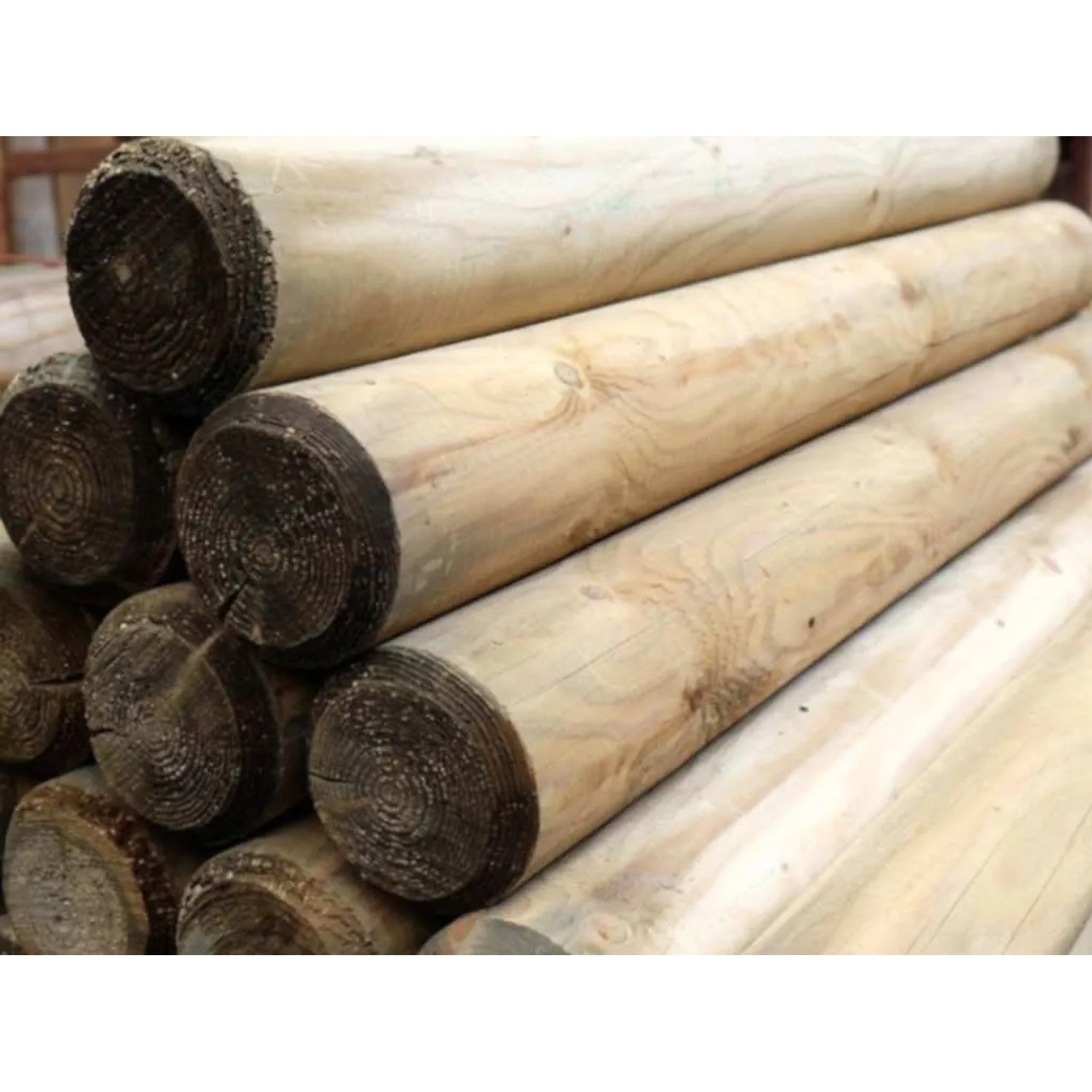 Woodtex Palisade Kiefer KDI 100 mm Stark 10 cm Breit 150 cm Lang Inhalt 1
