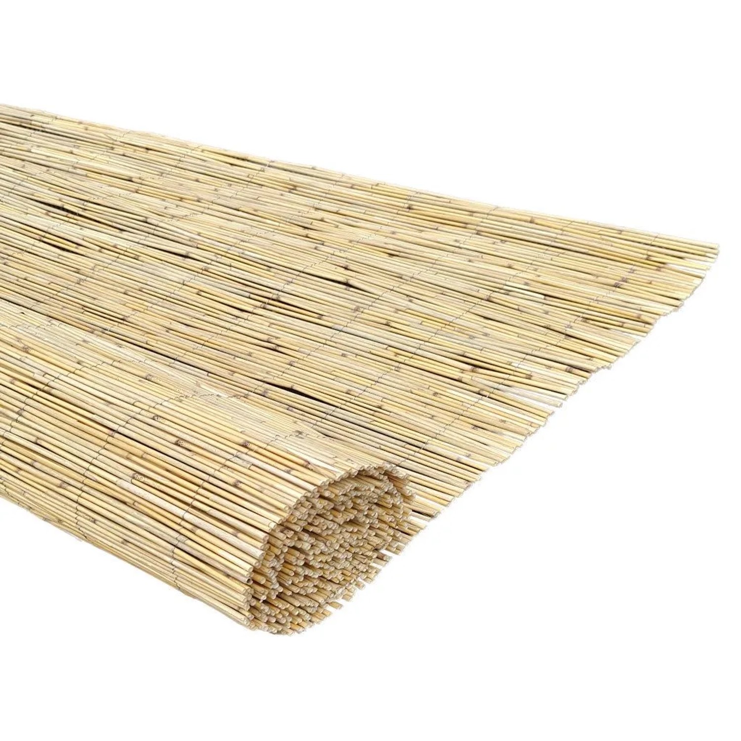 Outgarden Sichtschutz Schilfrohrmatte Föhr 300 x 180 cm