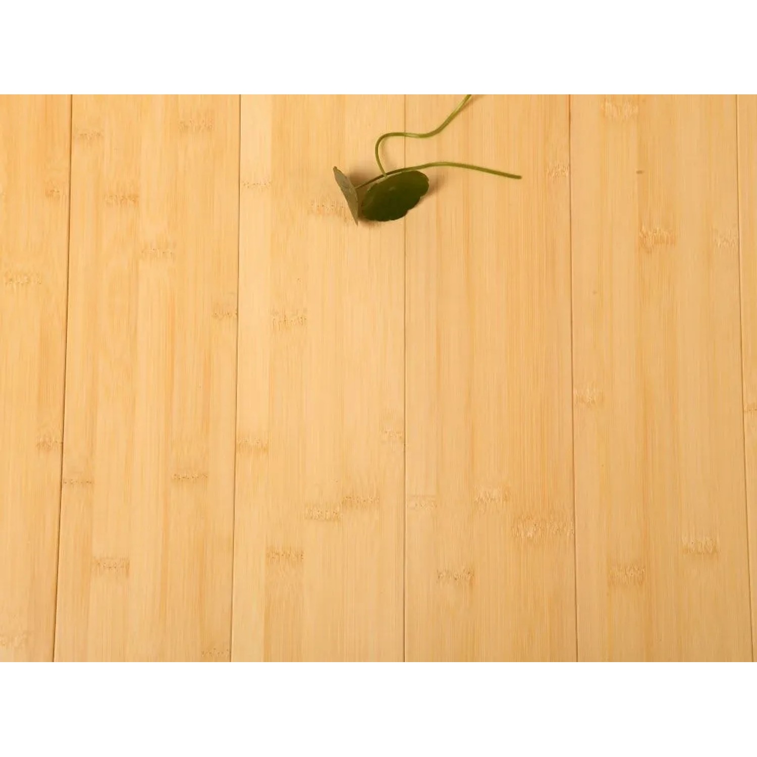 Timefloor Massivparkett Bambus Hikari Forest Natur Horizontallamelle