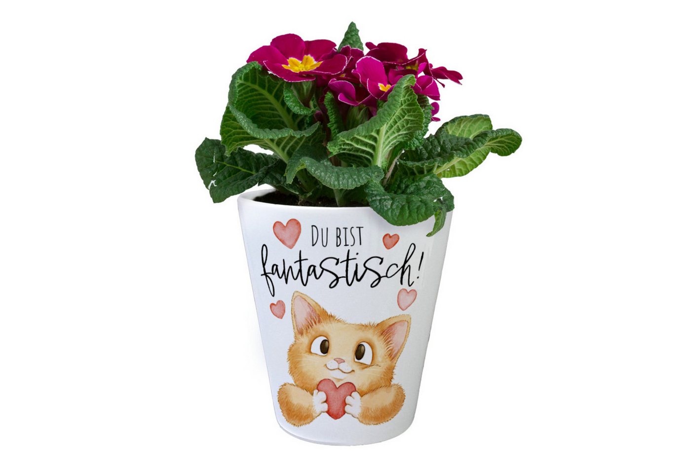 speecheese Blumentopf Katze Blumentopf mit Spruch Du bist fantastisch