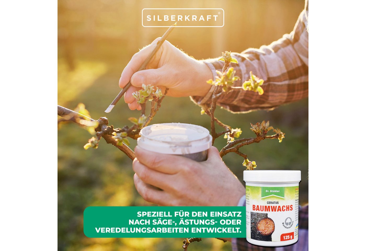 Dr. Stähler Baumwachs Ceratus Baumwachs: Veredlungs- und Wundverschlussmittel, 125 g, Schutz vor Feuchtigkeit & Austrocknung – Ganzjährig anwendbar