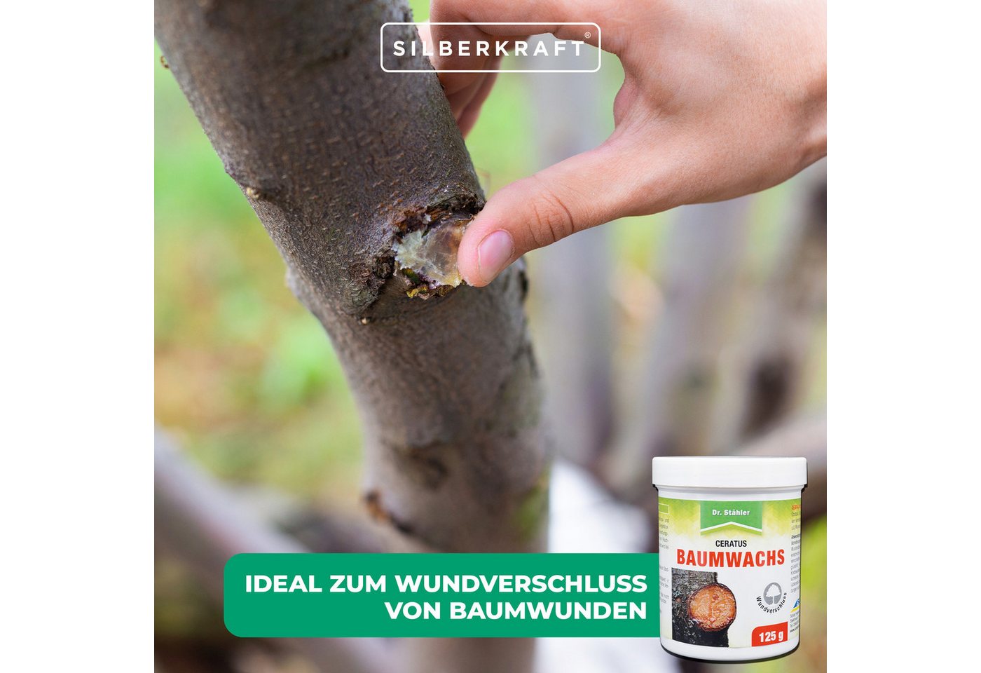 Dr. Stähler Baumwachs Ceratus Baumwachs: Veredlungs- und Wundverschlussmittel, 125 g, Schutz vor Feuchtigkeit & Austrocknung – Ganzjährig anwendbar Bild 5