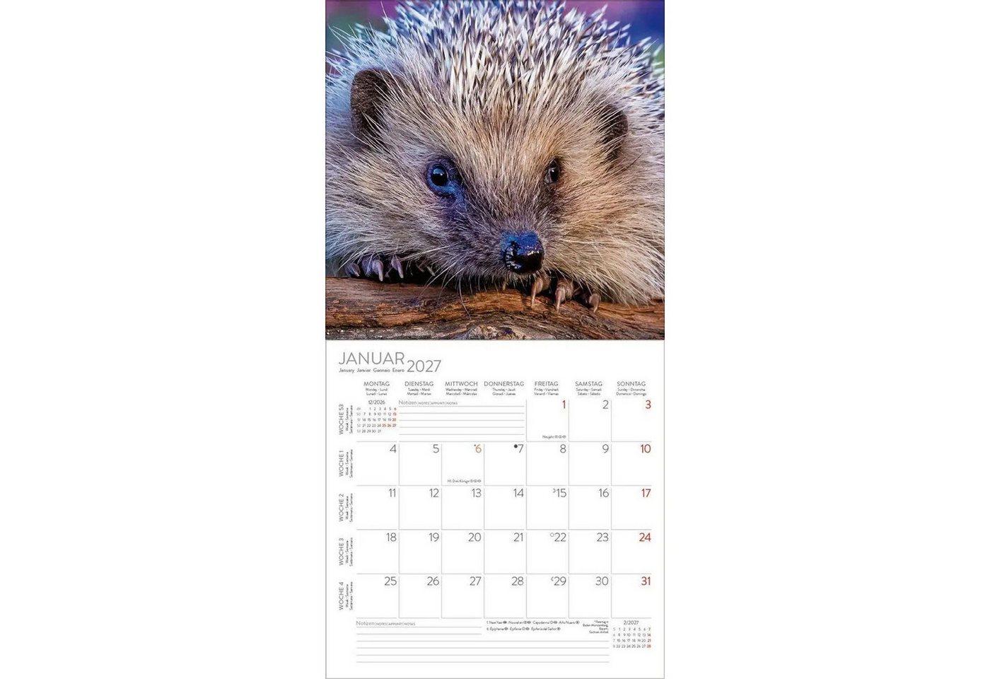 Korsch Verlag Tierkalender Igel 2027