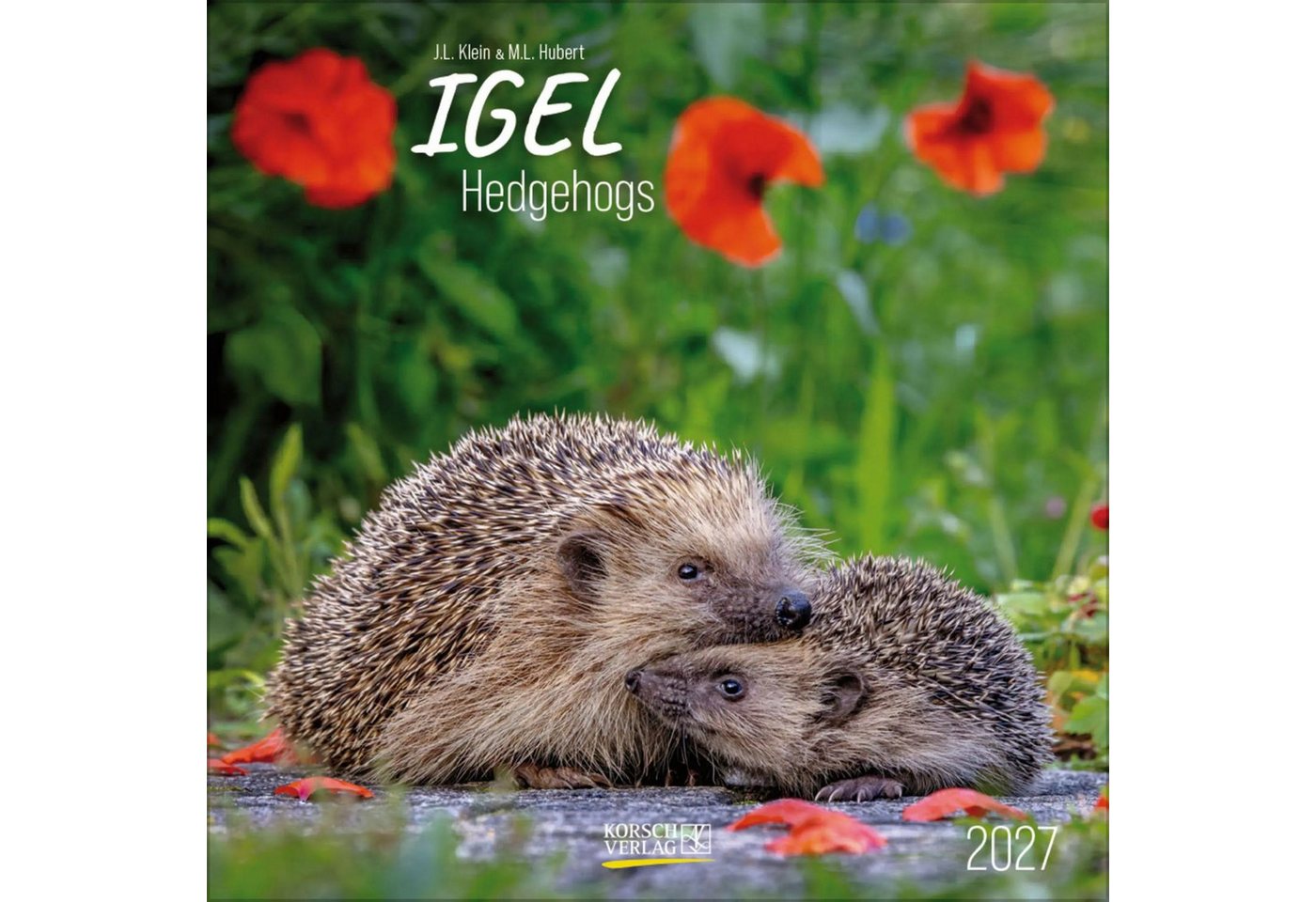 Korsch Verlag Tierkalender Igel 2027 Bild 3