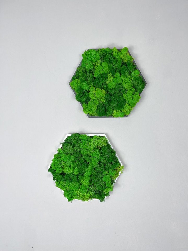 Gedankenwunder Manufaktur Bild mit Rahmen Islandmoos Farbkombi Moosbild Hexagon Rahmen Sechseck Rentiermoos