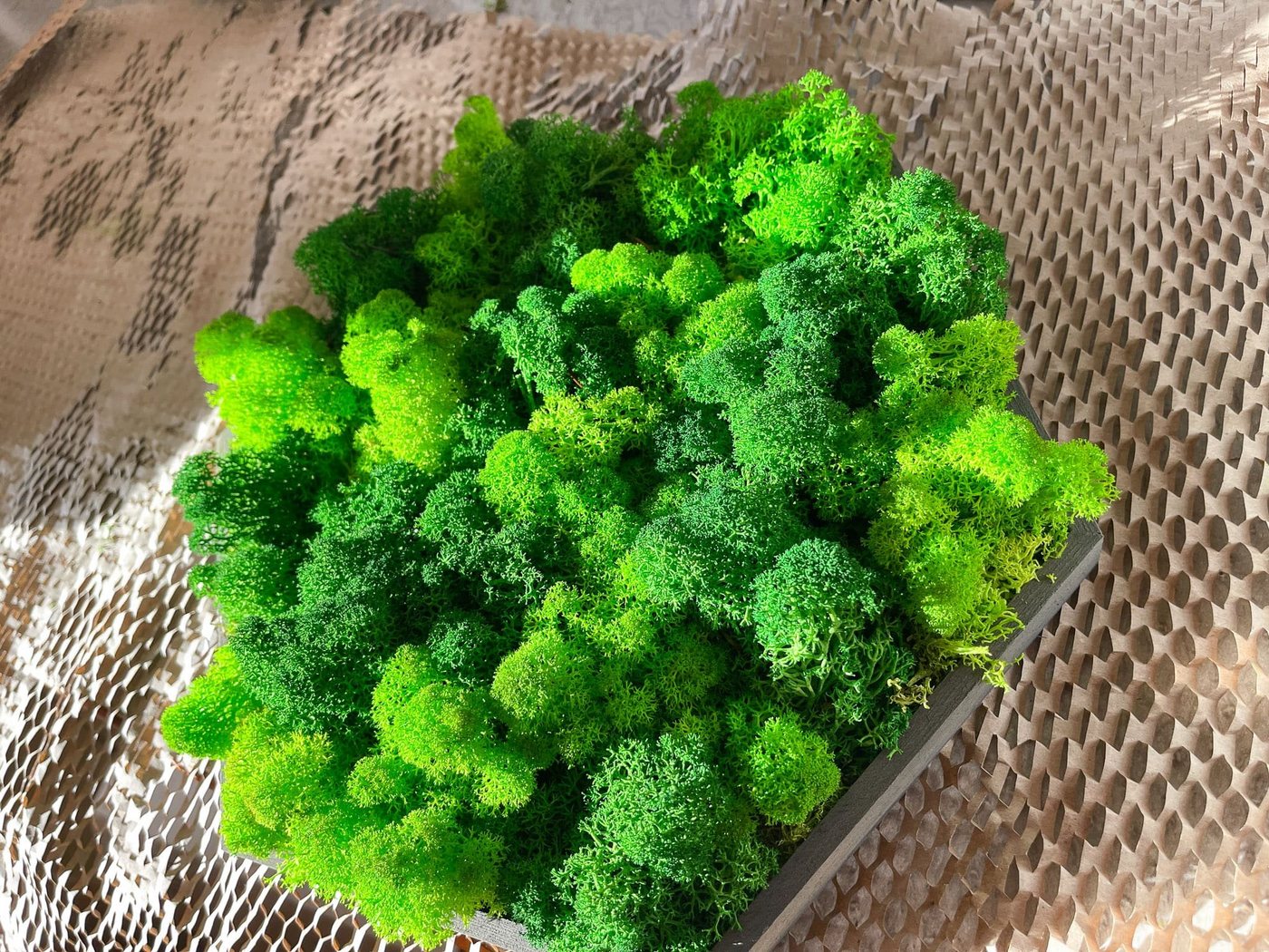 Gedankenwunder Manufaktur Bild mit Rahmen Islandmoos Farbkombi Moosbild Hexagon Rahmen Sechseck Rentiermoos Bild 2